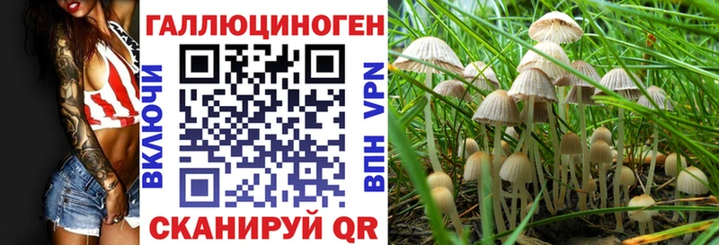 Галлюциногенные грибы Psilocybine cubensis где найти Калининск