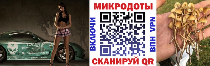 Галлюциногенные грибы прущие грибы Калининск